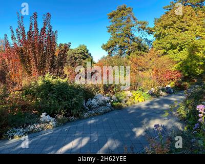 Bronx, NY, USA - 13. Nov 2021: Fußgängerweg durch das Laub im New York Botanical Garden Stockfoto
