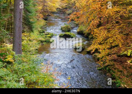 Edmundsklamm Elbsandsteingebirge böhmische Schweiz Stockfoto