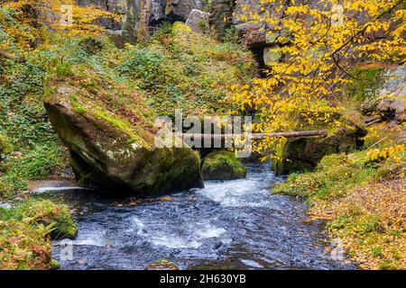 Edmundsklamm Elbsandsteingebirge böhmische Schweiz Stockfoto