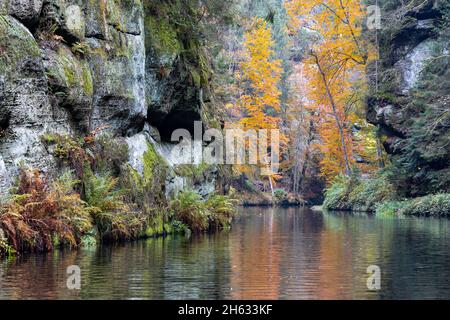Edmundsklamm Elbsandsteingebirge böhmische Schweiz Stockfoto