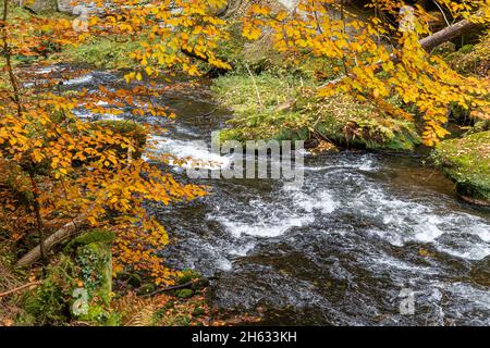 Edmundsklamm Elbsandsteingebirge böhmische Schweiz Stockfoto