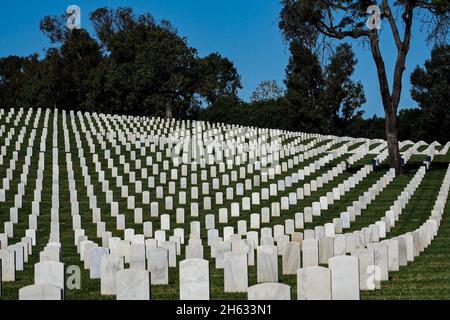 Los Angeles, Kalifornien, USA. November 2021. Veterans Day auf dem Nationalfriedhof von Los Angeles. (Bild: © Jason Ryan/ZUMA Press Wire) Stockfoto