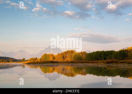 Herbstliche Espenbäume säumen die Ufer des Oxbow Bend am Snake River bei Sonnenaufgang. Grand Teton National Park, Wyoming Stockfoto