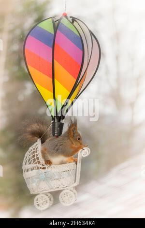 Nahaufnahme eines roten Eichhörnchens in einem Kinderwagen, der unter einem Regenbogenballon in der Luft hängt Stockfoto