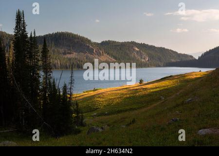 Abendlicht, das goldenes Licht und lange Schatten über die Landschaft rund um Beartooth in den Beartooth Mountains wirft. Shoshone National Forest, Wyomin Stockfoto