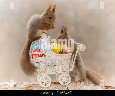 Nahaufnahme von roten Eichhörnchen auf einen Kinderwagen mit Eiern und anderen mit ihm Stockfoto