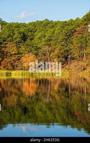 Herbstlaub mit gekräuselten Reflexionen auf Cedar Lake, Oklahoma, an einem sonnigen Novembermorgen Stockfoto