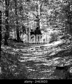 Graustufenaufnahme eines Wanderpaares und eines Hundes, der durch den Fußweg im Wald geht Stockfoto