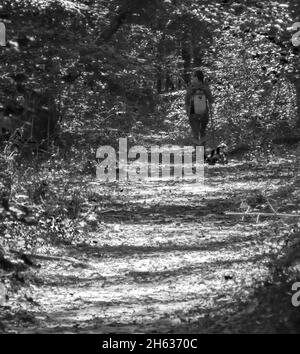 Graustufenaufnahme eines Wanderers, der durch den Fußweg im Wald geht Stockfoto