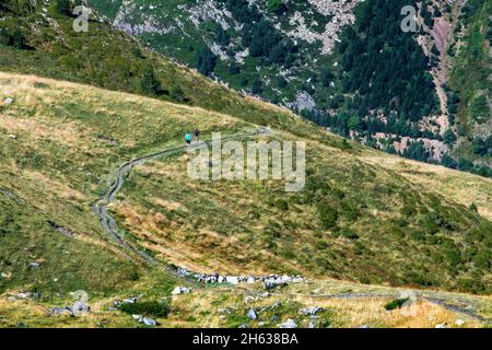 Wandern auf dem grünen Weg der Via verde del Carrilet am Stausee der Lagune von Estany gento. Vall fosca Lleida Provinz, Katalonien, Spanien. 12.4 km lange Wanderung (rund t Stockfoto