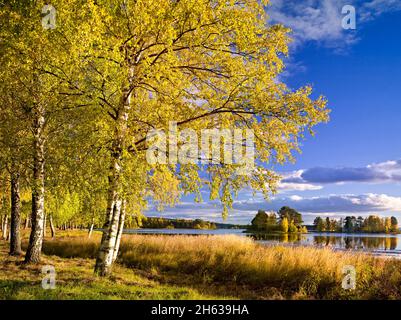 europa, schweden, provinz dalarna, orsa, Herbststimmung am orsa-See Stockfoto