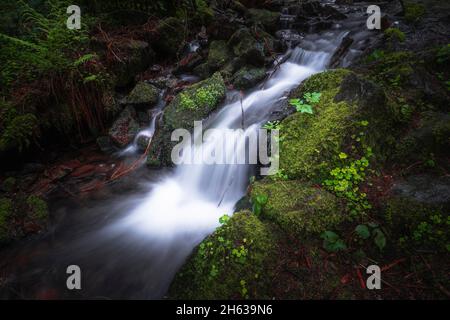 Wasserlauf im Schwarzwald, Burgbach Wasserfall Stockfoto