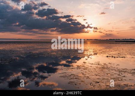 sonnenaufgang am federsee,Bad buchau,Wolken spiegeln sich im Wasser Stockfoto