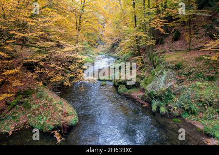 Edmundsklamm Elbsandsteingebirge böhmische Schweiz Stockfoto