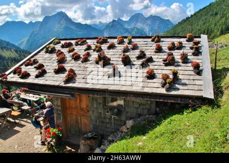 Schuhe, die auf dem Dach der plumsjochhütte (1630m) auf dem plumsjoch in der eng,karwendelgebirge,rißbachtal,tirol,österreich,europa,alm,eng-alm mit Hauseek (sempervivum) gepflanzt wurden Stockfoto