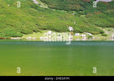 Wanderung zum Zreiner See 4 Hektar Bergsee auf 1799 m in den brandenberger alpen,tirol,Pinien-Feld am Ufer,grün Stockfoto