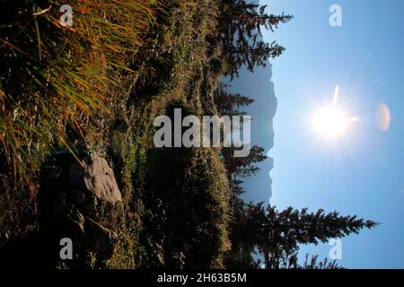 Am Morgen geht es mit dem Tau in die Berge,Morgenwanderung zum Grünkopf (1587m),Frau auf einer Bank,Sonnenschein,europa,deutschland,bayern,oberbayern,werdenfelser Land,isartal,mittenwald Stockfoto