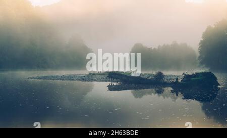 Morgenstimmung über dem rursee Stockfoto