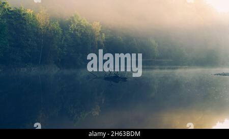 Morgenstimmung über dem rursee Stockfoto