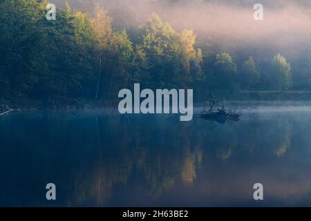 Morgenstimmung über dem rursee Stockfoto