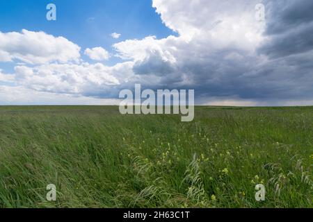 Regenwolken über freiburg an der elbe, deutschland. Stockfoto