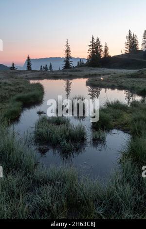 Spiegelung des hochkönig-Massivs in einem kleinen Teich. Stockfoto