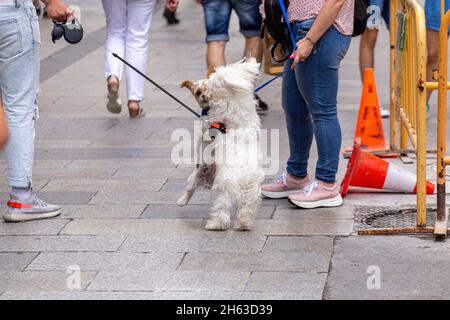 Impressionen von barcelona - eine Stadt an der Küste des nordöstlichen spaniens. Sie ist die Hauptstadt und größte Stadt der autonomen Gemeinschaft katalonien sowie die zweitbevölkerungsreichste Gemeinde spaniens. Stockfoto