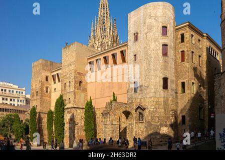 Die Kathedrale des heiligen Kreuzes und der heiligen eulalia, auch als kathedrale von barcelona bekannt, ist die gotische Kathedrale und Sitz des Erzbischofs von barcelona, katalonien, spanien Stockfoto