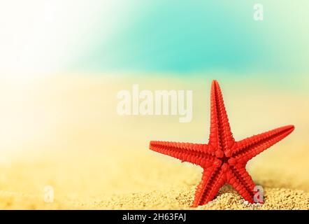 starfish on the beach sand. Summer time. Summer holiday vacation at sea. Stockfoto