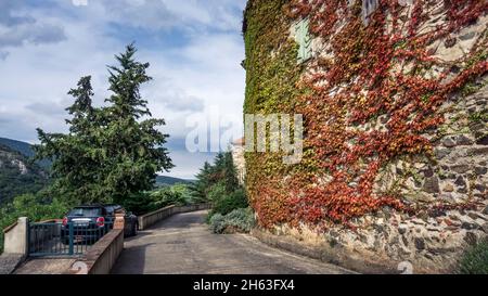 Straße am Stadtrand von Calmeilles. Blick auf die pyrenäen. ivy, Heilpflanze des Jahres 2010. Stockfoto