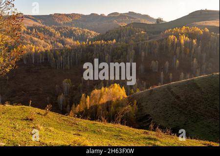 Morgen Herbstlandschaft in dumesti, alba County. rumänien Stockfoto