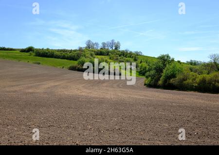 Blick von der Warze in die Landschaft im Naturschutzgebiet hohe wann bei königsberg in bayern, Bezirk hassberge, unterfranken, franken, bayern, deutschland Stockfoto