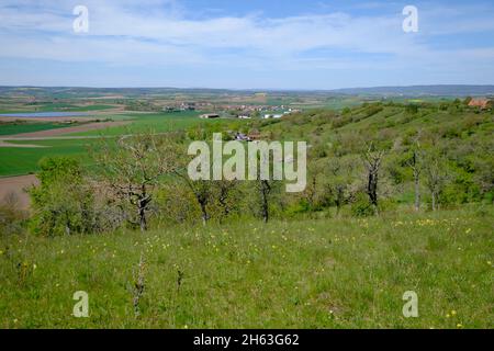 Blick von der Warze in die Landschaft im Naturschutzgebiet hohe wann bei königsberg in bayern, Bezirk hassberge, unterfranken, franken, bayern, deutschland Stockfoto