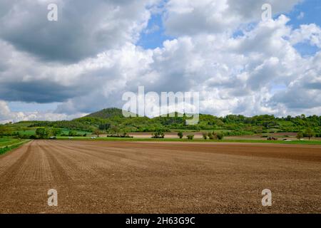 Blick vom mainaue-Naturschutzgebiet bei augsfeld auf das naturschutzgebiet hohe wann, Stadt haßfurt, Bezirk hassberge, unterfranken, franken, bayern, deutschland Stockfoto