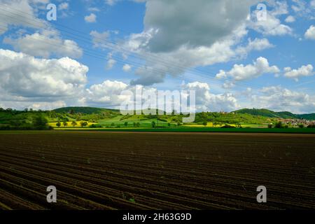 Blick vom mainaue-Naturschutzgebiet bei augsfeld auf das naturschutzgebiet hohe wann, Stadt haßfurt, Bezirk hassberge, unterfranken, franken, bayern, deutschland Stockfoto