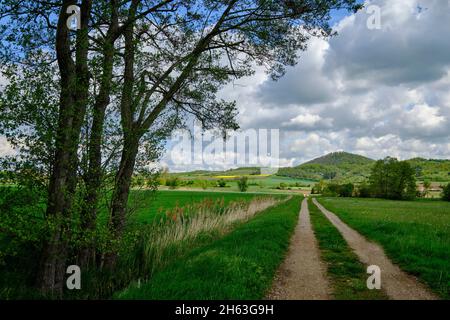 Blick vom mainaue-Naturschutzgebiet bei augsfeld auf das naturschutzgebiet hohe wann, Stadt haßfurt, Bezirk hassberge, unterfranken, franken, bayern, deutschland Stockfoto