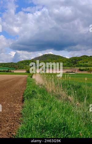 Blick vom mainaue-Naturschutzgebiet bei augsfeld auf das naturschutzgebiet hohe wann, Stadt haßfurt, Bezirk hassberge, unterfranken, franken, bayern, deutschland Stockfoto