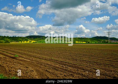 Blick vom mainaue-Naturschutzgebiet bei augsfeld auf das naturschutzgebiet hohe wann, Stadt haßfurt, Bezirk hassberge, unterfranken, franken, bayern, deutschland Stockfoto