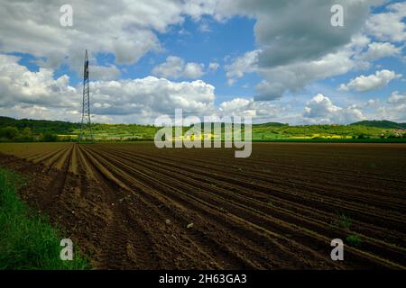 Blick vom mainaue-Naturschutzgebiet bei augsfeld auf das naturschutzgebiet hohe wann, Stadt haßfurt, Bezirk hassberge, unterfranken, franken, bayern, deutschland Stockfoto