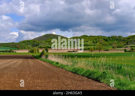 Blick vom mainaue-Naturschutzgebiet bei augsfeld auf das naturschutzgebiet hohe wann, Stadt haßfurt, Bezirk hassberge, unterfranken, franken, bayern, deutschland Stockfoto