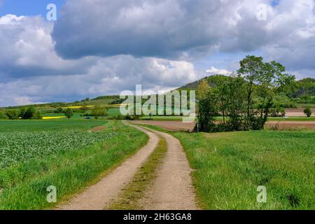 Blick vom mainaue-Naturschutzgebiet bei augsfeld auf das naturschutzgebiet hohe wann, Stadt haßfurt, Bezirk hassberge, unterfranken, franken, bayern, deutschland Stockfoto