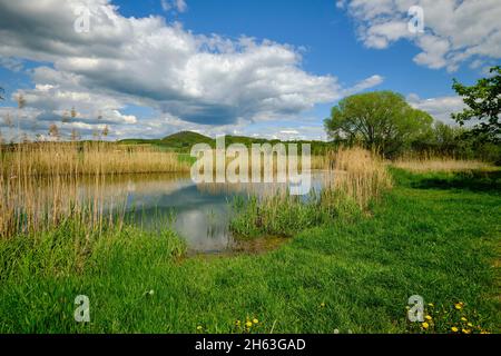 Der Lautensee im mainaue Naturschutzgebiet bei augsfeld, Stadt haßfurt, Bezirk hassberge, unterfranken, franken, bayern, deutschland Stockfoto