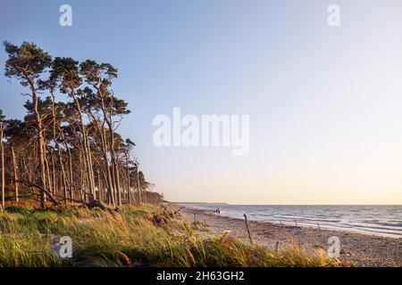 Sonnenuntergang am darß-Weststrand mit Blick auf ahrenshoop Stockfoto