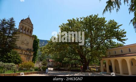 griechenland, griechische Inseln, ionische Inseln, kefalonia, kloster agios gerasimos, schutzpatron der Insel kefalonia, Kirche aus dem 16. Jahrhundert, Innenhof mit einem riesigen Baum und Glockenturm Stockfoto