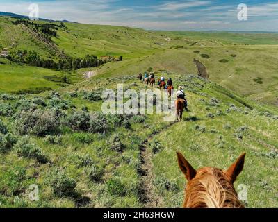 amerikanischer Westen, Dude Ranch, (Fahrerblick) Trail Ride, erkunden, Freizeit, bergblick, Erholung, weiches Abenteuer, Trail Ride, usa, wyoming, Bighorn Mountains, eaton Ranch Stockfoto