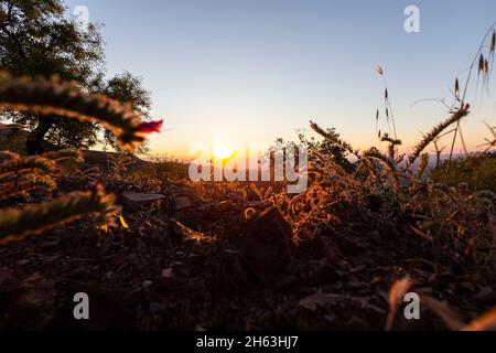 Wenn die Sonne aufgeht: Eine pittoreske Landschaft, aufgenommen in andalusien, spanien Stockfoto