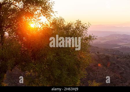 Wenn die Sonne aufgeht: Eine pittoreske Landschaft, aufgenommen in andalusien, spanien Stockfoto