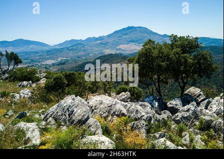 Genießen Sie die herrliche Aussicht von mirador del guarda Forestal in andalusien Stockfoto