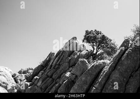 Genießen Sie die herrliche Aussicht von mirador del guarda Forestal in andalusien Stockfoto