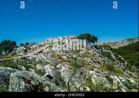 Genießen Sie die herrliche Aussicht von mirador del guarda Forestal in andalusien Stockfoto